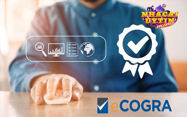 Tổng quan về đối tác ECogra